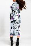 Multicolor Elegant Geometric Print Flowers Contrast Turtleneck Printed Dresses