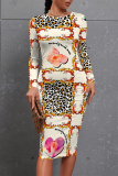 Brown Casual Floral Print Leopard Contrast O Neck Printed Dresses