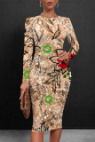 Brown Casual Floral Print Leopard Contrast O Neck Printed Dresses