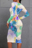 Blue Casual Floral Print Gradient Contrast O Neck Printed Dresses