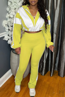 Yellow Casual Sportswear Daily Patchwork Contrast Zipper Collar Long Sleeve Two Pieces