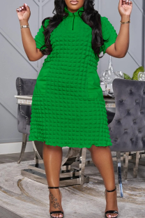 Green Casual Solid Color Zipper Zipper Collar Straight Plus Size Dresses