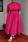Black Casual Daily Print Basic V Neck Long Plus Size Dresses
