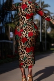 Multicolor Casual Daily Print Basic V Neck Long Sleeve Plus Size Dresses