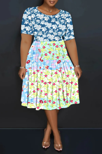 Multicolor Casual Print Patchwork O Neck Long Plus Size Dresses