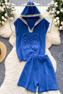 Blue Sexy Patchwork Hooded Sleeveless Two Pieces