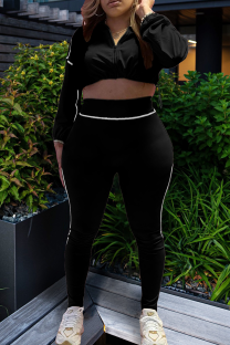 Black Casual Zipper Zipper Collar Long Sleeve Two Pieces