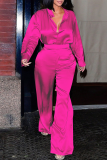 Champagne Casual Solid Color Buckle Turndown Collar Long Sleeve Two Pieces