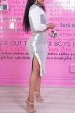 Grey Casual Buckle Contrast Zipper Collar Long Sleeve Two Pieces