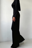 Black Casual Solid Color Backless Turtleneck Long Sleeve Two Pieces