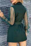 Fashion Elegant Solid See-through Turndown Collar A Line Dresses