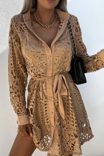 Casual Solid Lace Turndown Collar Waist Skirt Dresses