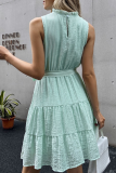 Sweet Solid With Belt Stringy Selvedge O Neck A Line Dresses