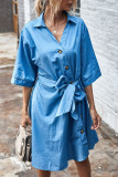 Fashion Casual Solid Split Joint Turndown Collar Princess Dresses