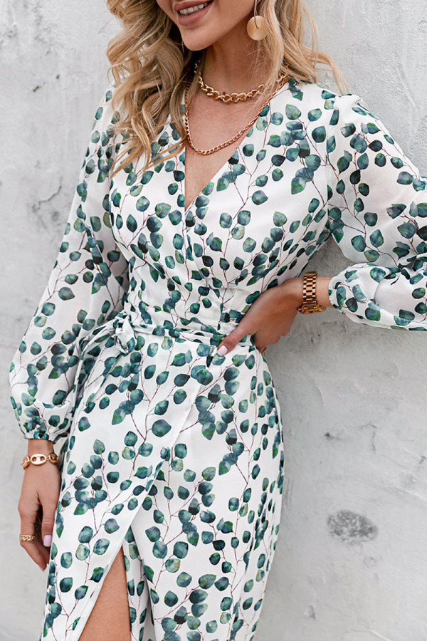 Fashion Street Print Frenulum V Neck A Line Dresses