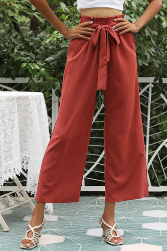 Casual Solid With Belt Straight Wide Leg Solid Color Bottoms