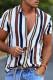 Fashion Casual Striped Print Basic Turndown Collar Men's Shirts