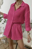 Casual Simplicity Solid Fold Turndown Collar Long Sleeve Two Pieces(8 Colors)
