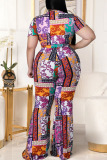 Fashion Casual Print Split Joint O Neck Plus Size Two Pieces
