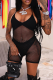 Sexy Solid Mesh Halter Sleeveless Two Pieces
