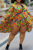 Fashion Print Patchwork Turndown Collar Cake Skirt Plus Size Dresses