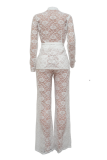 Casual Solid Lace V Neck Regular Jumpsuits