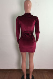 Fashion Sexy Patchwork See-through Half A Turtleneck Long Sleeve Dresses