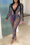 Sexy Print Patchwork See-through Fold Mesh V Neck Long Sleeve Two Pieces