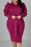 Fashion Casual Solid With Belt O Neck Long Sleeve Plus Size Dresses