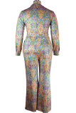 Sexy Print Bandage Patchwork Turndown Collar Plus Size Two Pieces