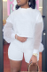 Casual Mesh O Neck Long Sleeve Two Pieces