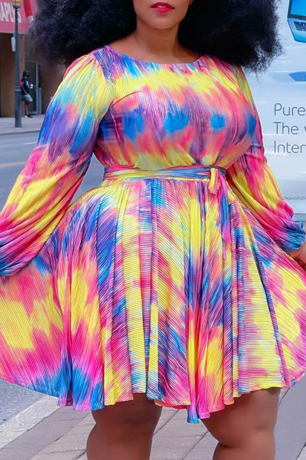Casual Print Patchwork O Neck Cake Skirt Plus Size Dresses