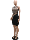 Sexy Patchwork Hollowed Out Mesh O Neck Pencil Skirt Dresses