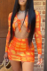 Sexy Print Patchwork V Neck Long Sleeve Two Pieces