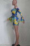 Sexy Print See-through Mesh Wrapped Skirt Dresses