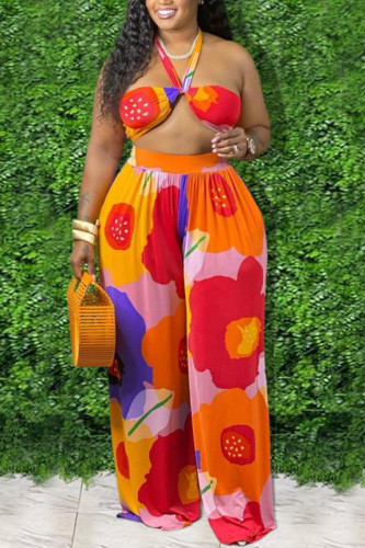 Sexy Casual Print Backless Strapless Plus Size Two Pieces