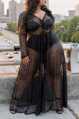 Sexy Patchwork See-through Sequins V Neck A Line Plus Size Dresses