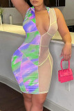 Fashion Sexy Print Patchwork See-through Zipper Collar Sleeveless Dress