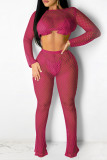 Sexy Solid Hollowed Out See-through O Neck Long Sleeve Two Pieces