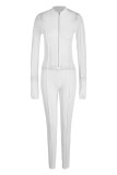 Fashion Sexy Solid See-through Zipper Collar Skinny Jumpsuits