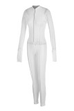 Fashion Sexy Solid See-through Zipper Collar Skinny Jumpsuits