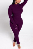 Casual Solid Basic Half A Turtleneck Long Sleeve Two Pieces