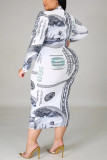Fashion Sexy Turtleneck Long Sleeve Regular Sleeve Print Printed Dress Plus Size