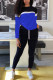 Fashion Sportswear Adult Patchwork Solid Patchwork O Neck Long Sleeve Regular Sleeve Regular Two Pieces
