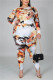 Fashion Casual O Neck Long Sleeve Regular Sleeve Print Plus Size Set