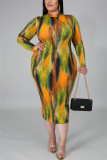 Fashion Casual Plus Size O Neck Long Sleeve Regular Sleeve Print Printed Dress