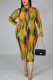 Fashion Casual Plus Size O Neck Long Sleeve Regular Sleeve Print Printed Dress