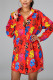 Fashion Casual Regular Sleeve Long Sleeve Turndown Collar Shirt Dress Mini Print Dresses