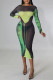 Fashion Sexy Print See-through O Neck Long Sleeve Dresses