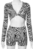 Sexy Animal Print Patchwork V Neck Long Sleeve Two Pieces